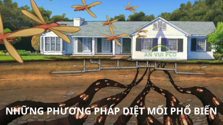 Những phương pháp được sử dụng để phòng chống và diệt mối hiện nay